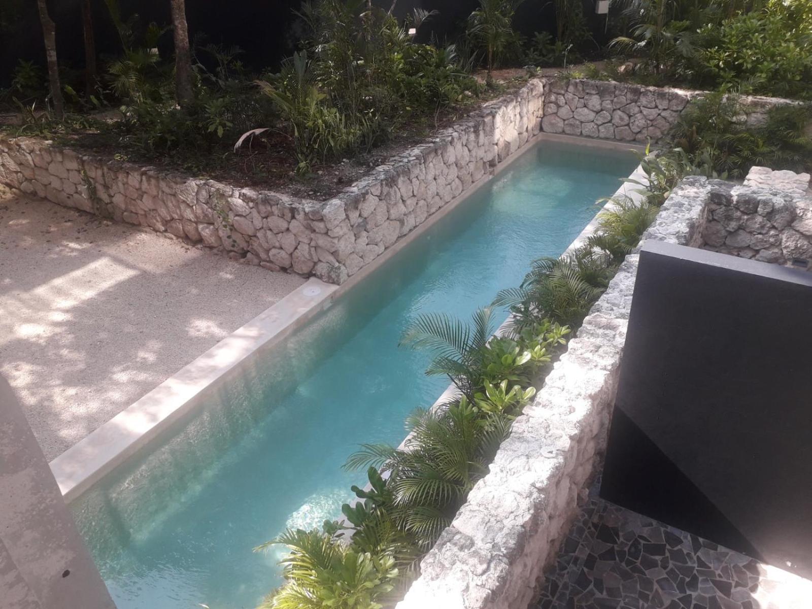 New Luxury Suite Con Plunge Pool Privado Тулум Екстер'єр фото